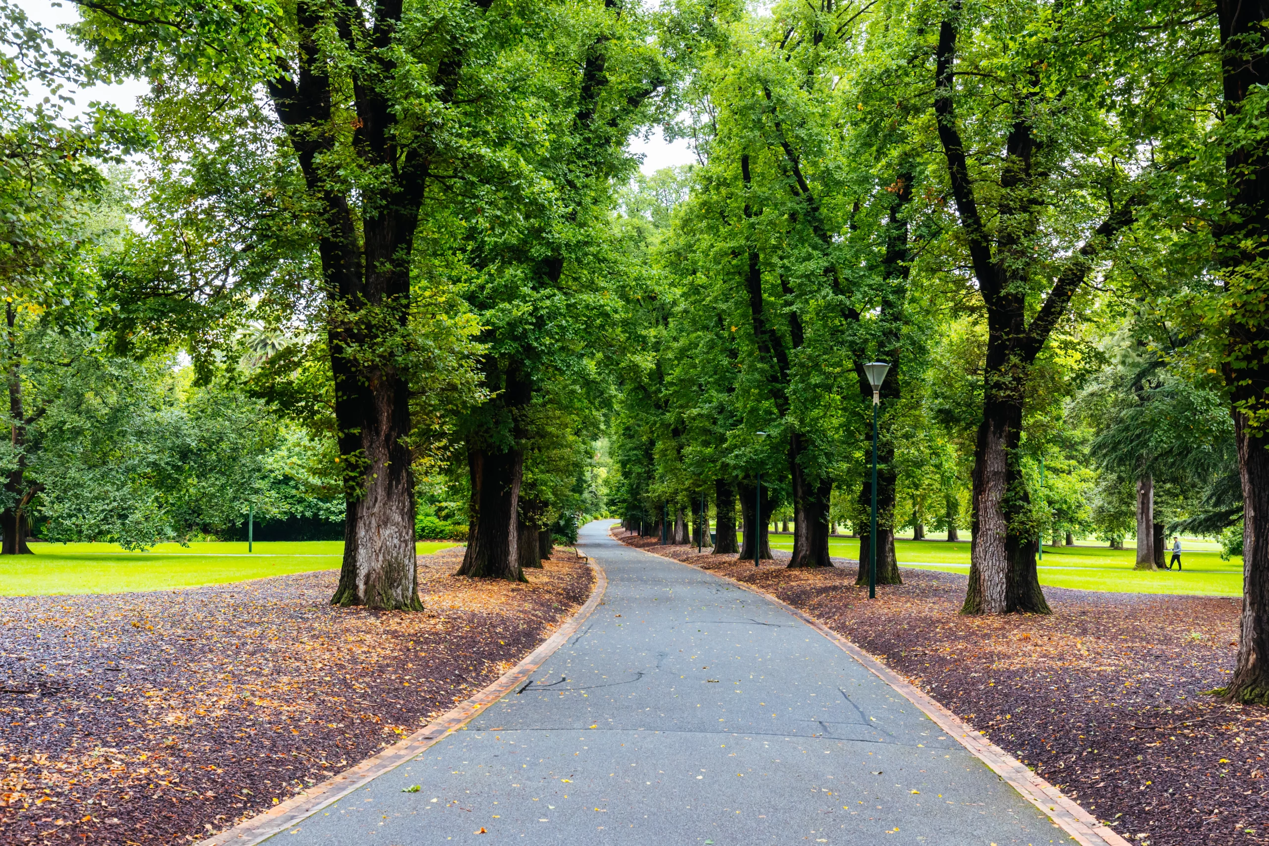 cheap things to do in Melbourne; fitzroy gardens | Swoosh Finance