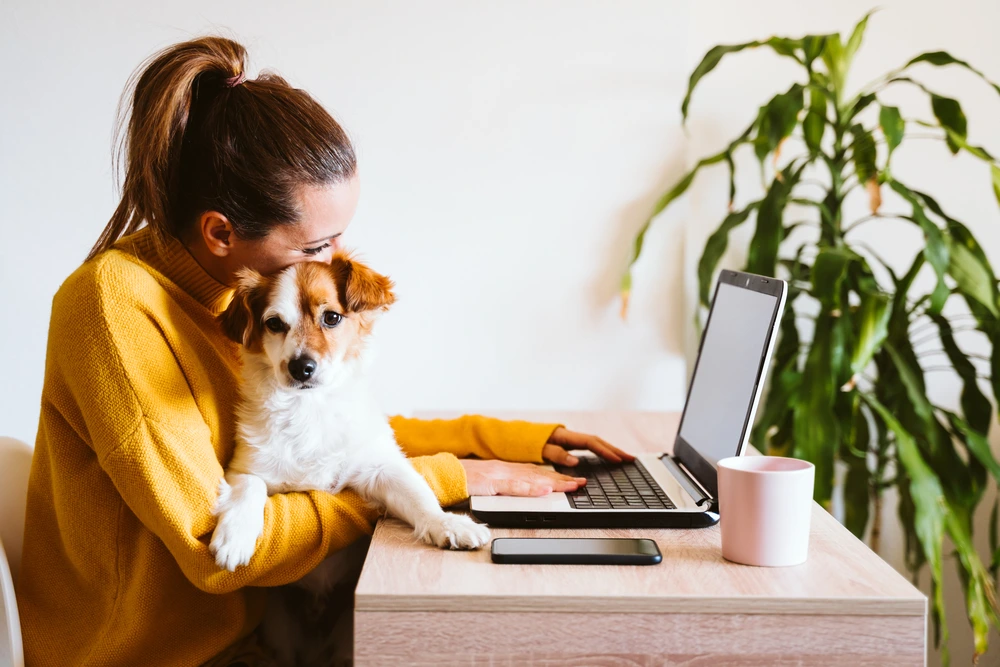 Working from home for your second job | Swoosh Finance